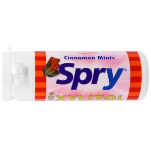 Spry Cinnamon Mints Sugar Free 45 Count