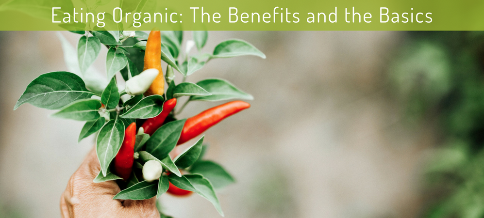 Eating Organic: The Benefits and the Basics
