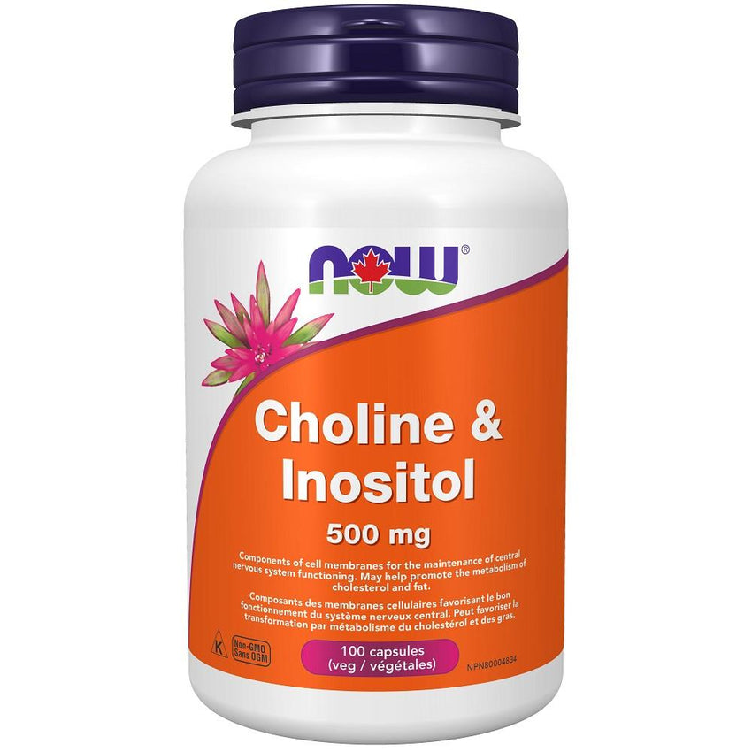 NOW Choline & Inositol 500mg 100Caps