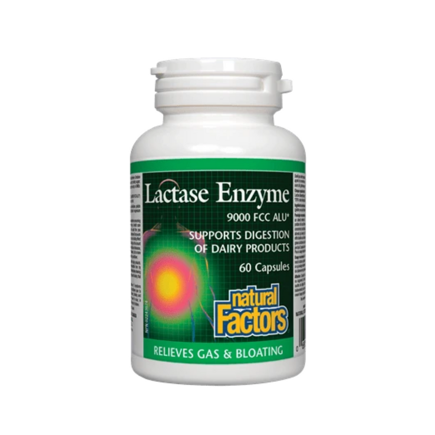 Natural Factors Lactase Enzyme 60 Caps