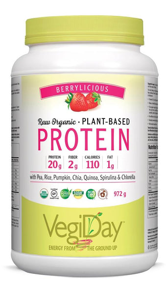 VEGIDAY Protein Powder Berrylicious 972g