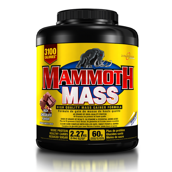 Mammoth Mass Chocolate 5lbs