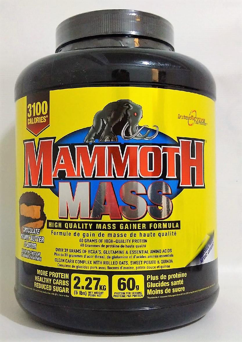 Mammoth Mass Peanut Butter Cup 5lbs